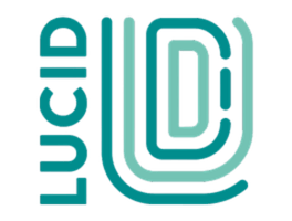LucidIT Logo (2)